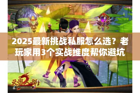 2025最新挑战私服怎么选？老玩家用3个实战维度帮你避坑