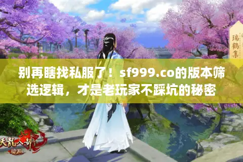 别再瞎找私服了！sf999.co的版本筛选逻辑，才是老玩家不踩坑的秘密