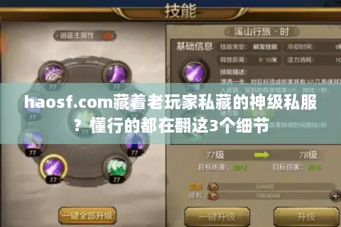 haosf.com藏着老玩家私藏的神级私服？懂行的都在翻这3个细节