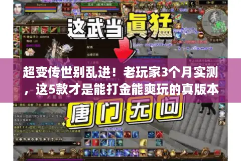 超变传世别乱进!老玩家3个月实测,这5款才是能打金能爽玩的真版本 超变传世别乱进!老玩家3个月实测,这5款才是能打金能爽玩的真版本