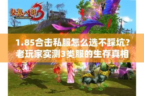 1.85合击私服怎么选不踩坑？老玩家实测3类服的生存真相