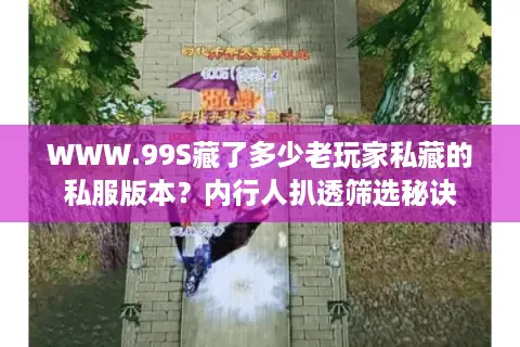 WWW.99S藏了多少老玩家私藏的私服版本？内行人扒透筛选秘诀