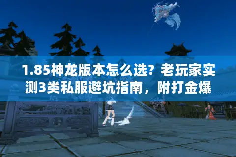 1.85神龙版本怎么选？老玩家实测3类私服避坑指南，附打金爆率真实数据