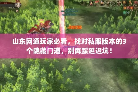 山东网通玩家必看，找对私服版本的3个隐藏门道，别再踩延迟坑！