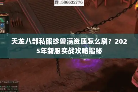 天龙八部私服珍兽满资质怎么刷？2025年新服实战攻略揭秘