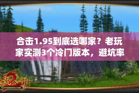合击1.95到底选哪家？老玩家实测3个冷门版本，避坑率90%+
