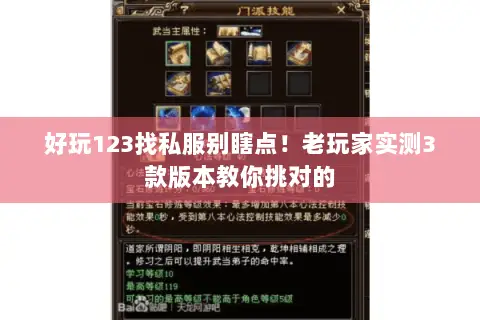 好玩123找私服别瞎点！老玩家实测3款版本教你挑对的