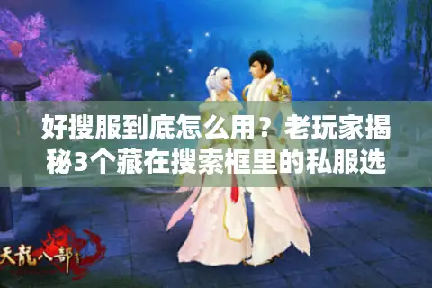 好搜服到底怎么用？老玩家揭秘3个藏在搜索框里的私服选服硬核技巧