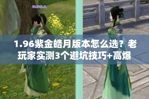 1.96紫金皓月版本怎么选？老玩家实测3个避坑技巧+高爆服判断指南