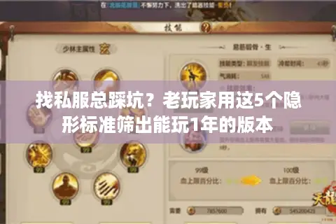 找私服总踩坑?老玩家用这5个隐形标准筛出能玩1年的版本 找私服总踩坑?老玩家用这5个隐形标准筛出能玩1年的版本