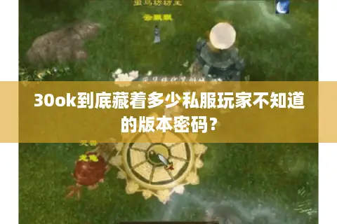 30ok到底藏着多少私服玩家不知道的版本密码？