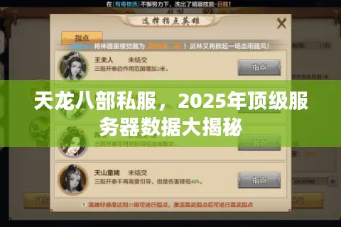 天龙八部私服，2025年顶级服务器数据大揭秘