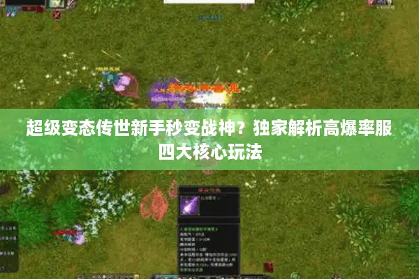 超级变态传世新手秒变战神？独家解析高爆率服四大核心玩法