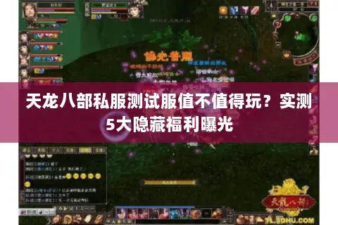 天龙八部私服测试服值不值得玩?实测5大隐藏福利曝光 天龙八部私服测试服值不值得玩?实测5大隐藏福利曝光