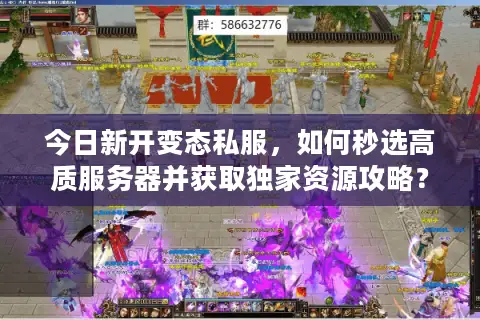 今日新开变态私服，如何秒选高质服务器并获取独家资源攻略？
