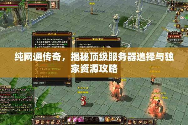 纯网通传奇，揭秘顶级服务器选择与独家资源攻略