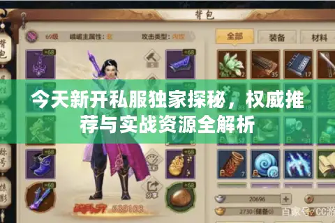 今天新开私服独家探秘，权威推荐与实战资源全解析