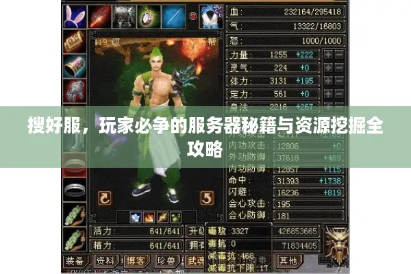 搜好服，玩家必争的服务器秘籍与资源挖掘全攻略