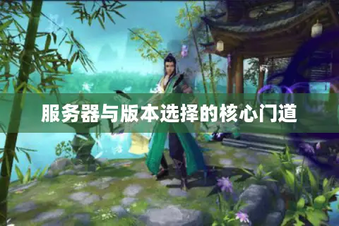 服务器与版本选择的核心门道