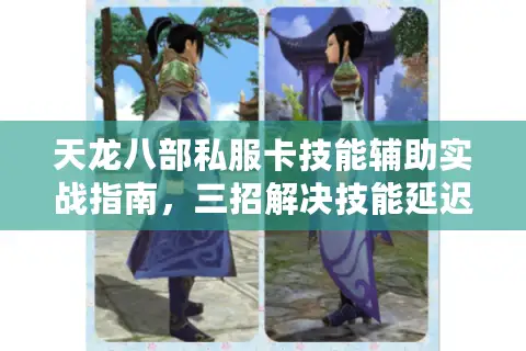 天龙八部私服卡技能辅助实战指南，三招解决技能延迟卡顿
