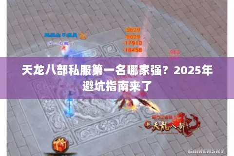 天龙八部私服第一名哪家强？2025年避坑指南来了