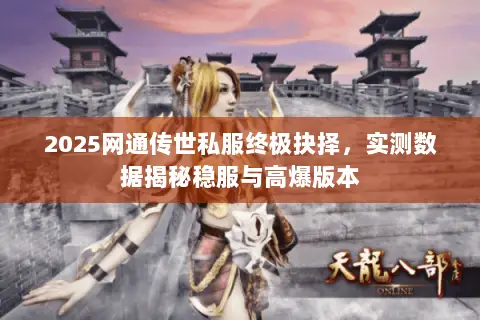 2025网通传世私服终极抉择，实测数据揭秘稳服与高爆版本