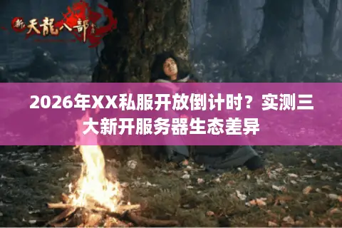 2026年XX私服开放倒计时？实测三大新开服务器生态差异