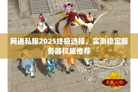网通私服2025终极选择，实测稳定服务器权威推荐