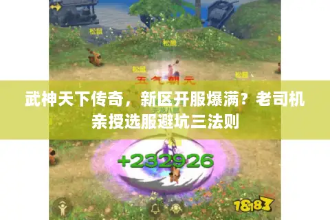 武神天下传奇，新区开服爆满？老司机亲授选服避坑三法则
