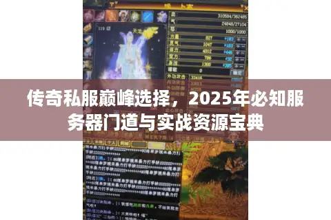 传奇私服巅峰选择，2025年必知服务器门道与实战资源宝典