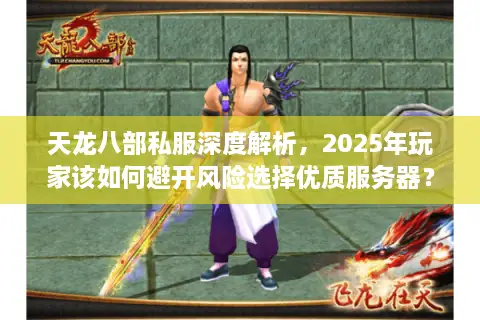 天龙八部私服深度解析，2025年玩家该如何避开风险选择优质服务器？