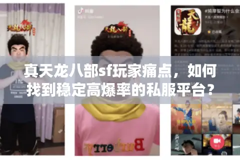 真天龙八部sf玩家痛点，如何找到稳定高爆率的私服平台？