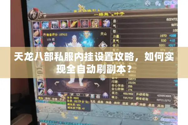 天龙八部私服内挂设置攻略，如何实现全自动刷副本？