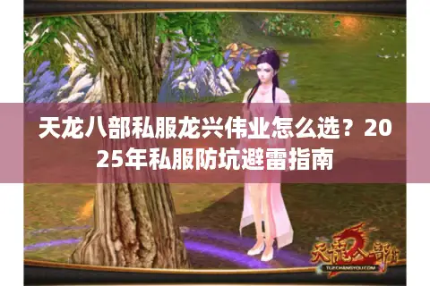 天龙八部私服龙兴伟业怎么选？2025年私服防坑避雷指南