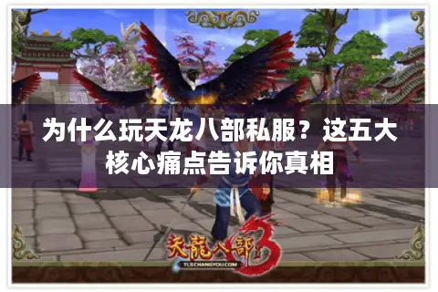 为什么玩天龙八部私服?这五大核心痛点告诉你真相 为什么玩天龙八部私服?这五大核心痛点告诉你真相