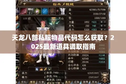 天龙八部私服物品代码怎么获取？2025最新道具调取指南