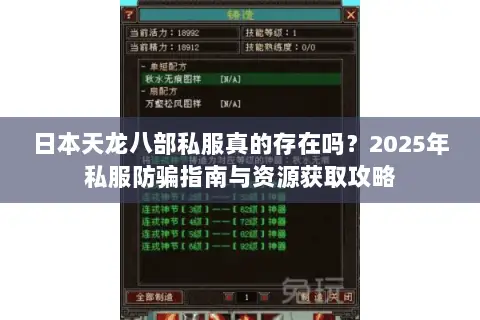 日本天龙八部私服真的存在吗？2025年私服防骗指南与资源获取攻略