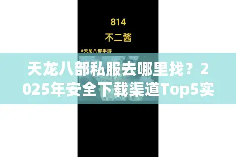 天龙八部私服去哪里找？2025年安全下载渠道Top5实测