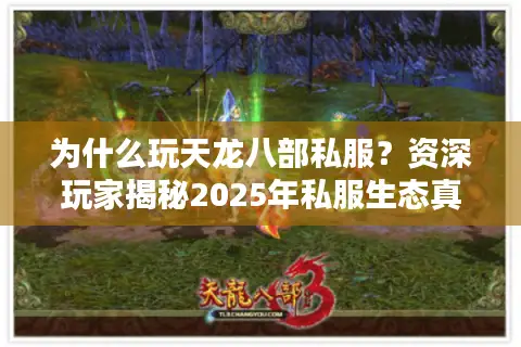 为什么玩天龙八部私服?资深玩家揭秘2025年私服生态真相 为什么玩天龙八部私服?资深玩家揭秘2025年私服生态真相