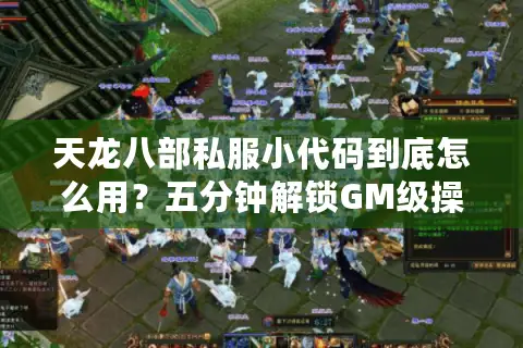 天龙八部私服小代码到底怎么用？五分钟解锁GM级操作权限