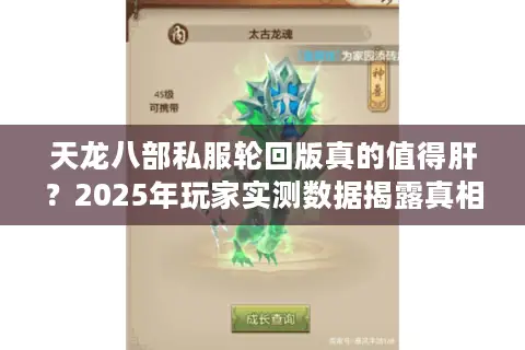 天龙八部私服轮回版真的值得肝？2025年玩家实测数据揭露真相