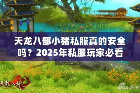 天龙八部小猪私服真的安全吗？2025年私服玩家必看的避坑指南