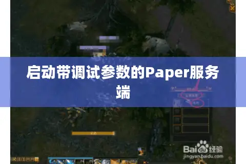 启动带调试参数的Paper服务端