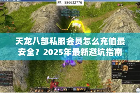 天龙八部私服会员怎么充值最安全？2025年最新避坑指南