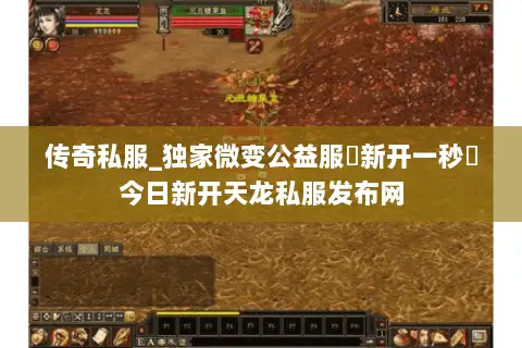 传奇私服_独家微变公益服▶新开一秒◀今日新开天龙私服发布网