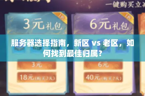 服务器选择指南，新区 vs 老区，如何找到最佳归属？