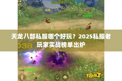 天龙八部私服哪个好玩?2025私服老玩家实战榜单出炉 天龙八部私服哪个好玩?2025私服老玩家实战榜单出炉