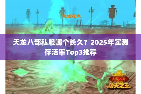 天龙八部私服哪个长久?2025年实测存活率Top3推荐 天龙八部私服哪个长久?2025年实测存活率Top3推荐