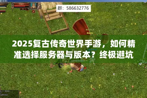 2025复古传奇世界手游，如何精准选择服务器与版本？终极避坑指南