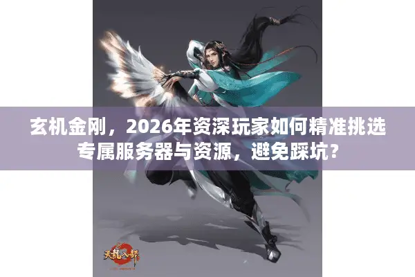 玄机金刚，2026年资深玩家如何精准挑选专属服务器与资源，避免踩坑？